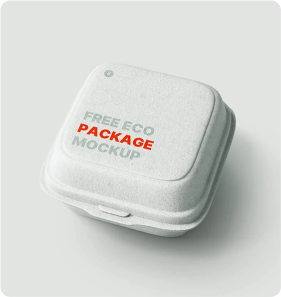 Packaging Mockup for Startup